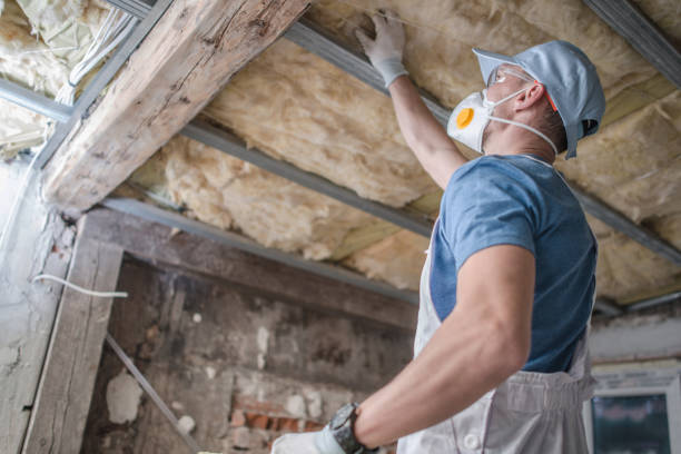 Best Insulation for Specific Applications in Pocono Woodland Lakes, PA