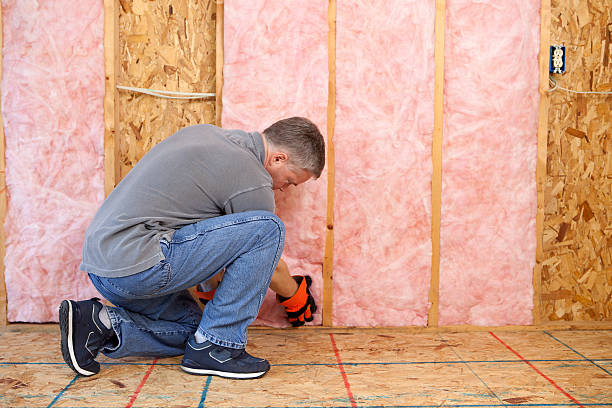 Best Insulation for Specific Applications in Pocono Woodland Lakes, PA